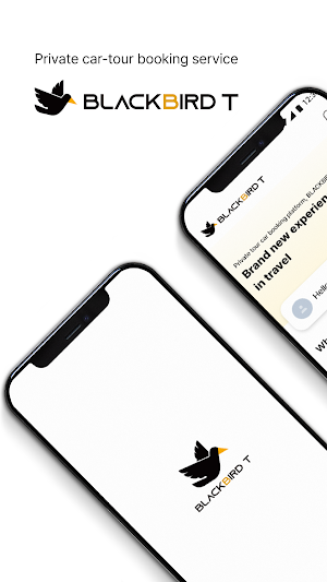 BLACKBIRD T Screenshot 0
