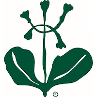 Il Cammino del Parco Nazionale