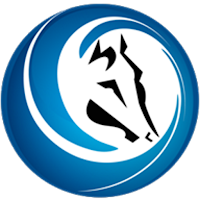 Pegasus Movil