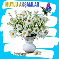Mutlu akşamlar