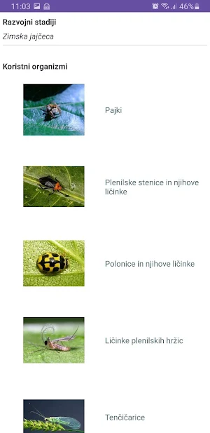 e-priročnik za sadjarje Screenshot 3