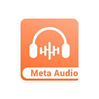 Meta audio