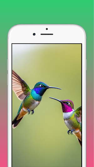 Hummingbird Wallpaper Screenshot 2