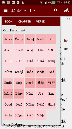Bassa Bible Liberia Screenshot 1