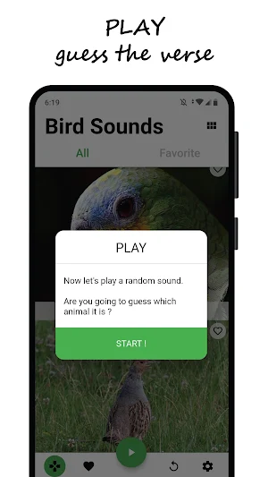 Bird sounds Screenshot 1