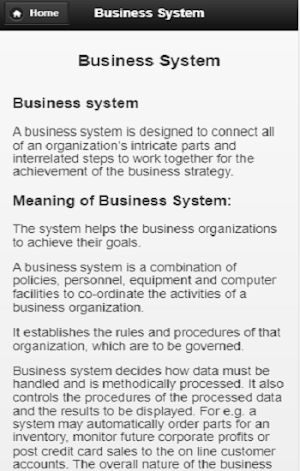 Business System Screenshot 2