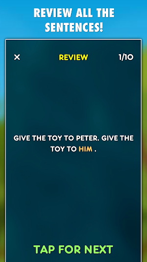 Pronouns Grammar Test Screenshot 3