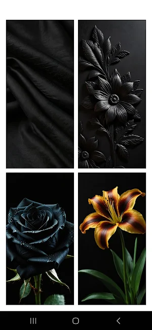Black Wallpaper HD 4k Screenshot 1
