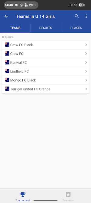 Pre Season Cup Screenshot 1