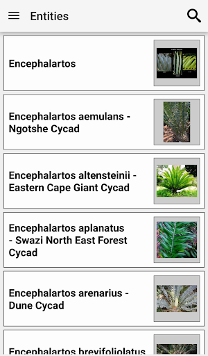 IDentifyIt Cycads Screenshot 1
