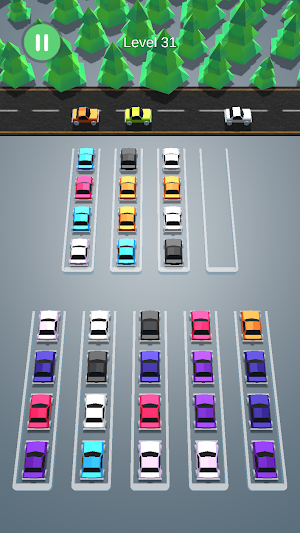 Car Sort Puzzle 3D Screenshot 2
