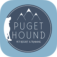 Puget Hound
