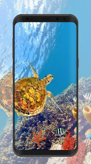 Tortoise Wallpaper Screenshot 0