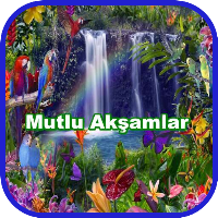 mutlu akşamlar
