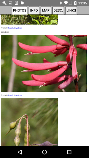 Florida Wildflowers Screenshot 2