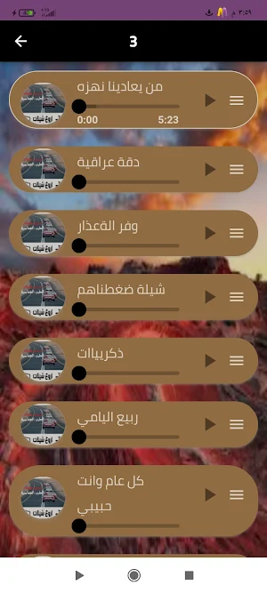 شيلات منوعة 2024 بدون نت Screenshot 3