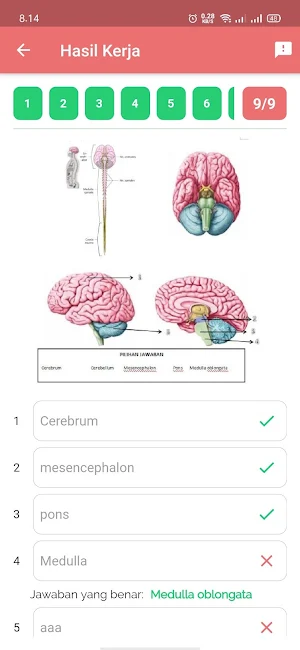 Anatomy Learning FKUH - Vokasi Screenshot 2