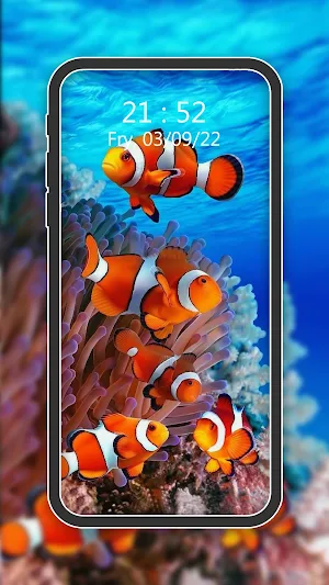 HD Fish Wallpapers Screenshot 3