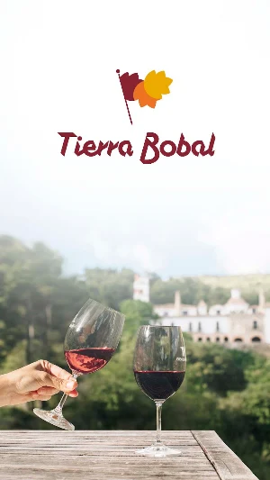 Tierra Bobal Screenshot 0