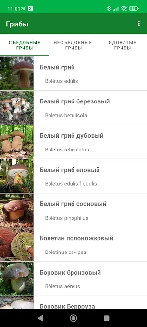 Mushrooms Screenshot 1