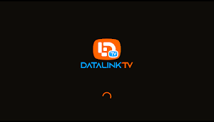 Datalink TV Screenshot 0