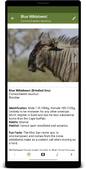 Botswana Wildlife Guide Screenshot 1