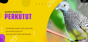 Suara Burung: Kicau Perkutut Screenshot 2