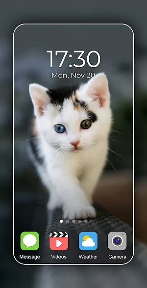 Cat Wallpaper 2024 Screenshot 3