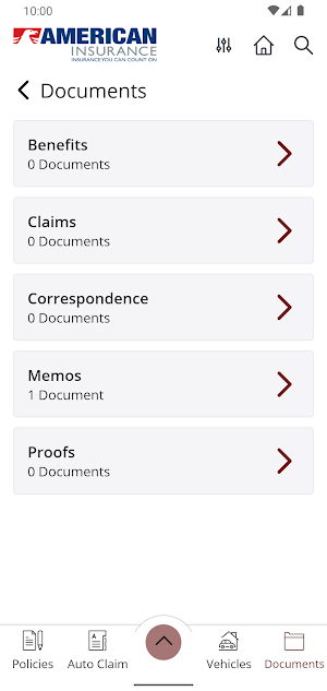 American Insurance Online Screenshot 2