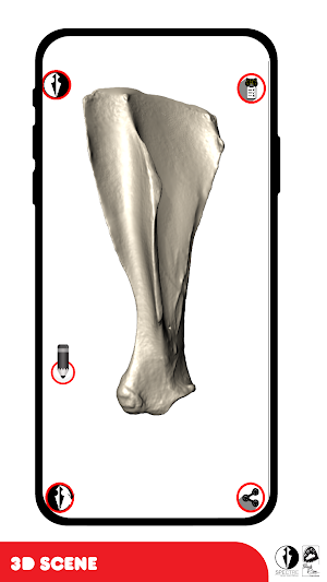 Spectre Veterinary Anatomy Screenshot 1