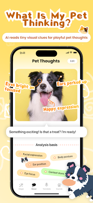 Pet Chat Screenshot 3