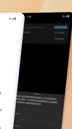 Subastas públicas Screenshot 3