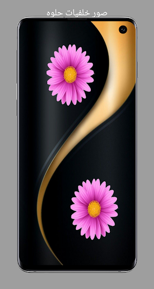 صور خلفيات حلوه Screenshot 0