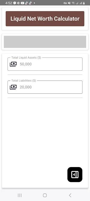 Liquid Net Worth Calculator Screenshot 2