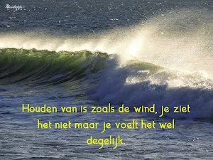 Liefdes zinnen Screenshot 0