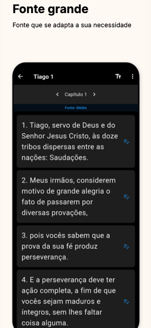 Bíblia Sagrada de Estudo da Fé Screenshot 2