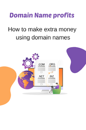 Domain Name Profits Screenshot 1
