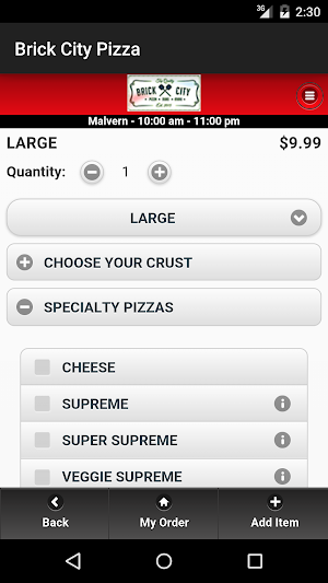 Brick City Pizza Screenshot 1
