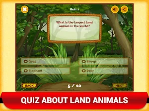 Wild Animal Quiz Game For Kids Screenshot 2