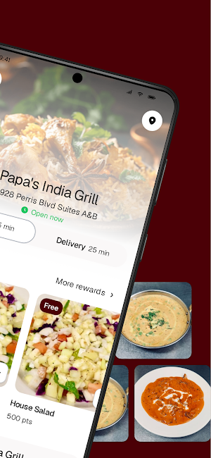 Papa's India Grill Screenshot 1
