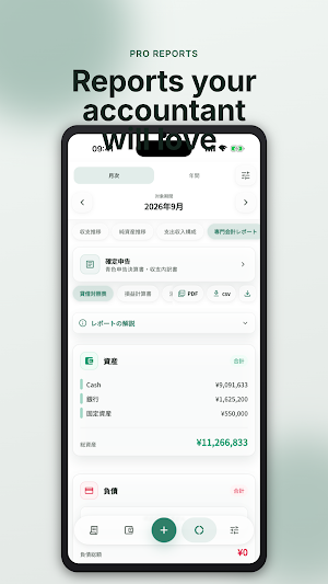Kaikei - Freelance Accounting Screenshot 3