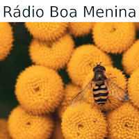 Rádio Boa Menina