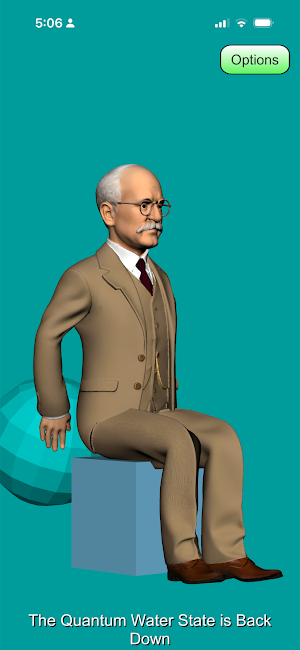 Tai Chi Flow Screenshot 2