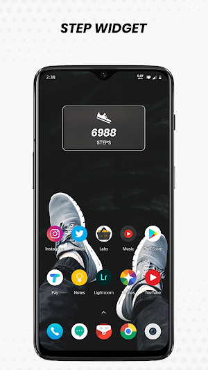Pedometer King Screenshot 3
