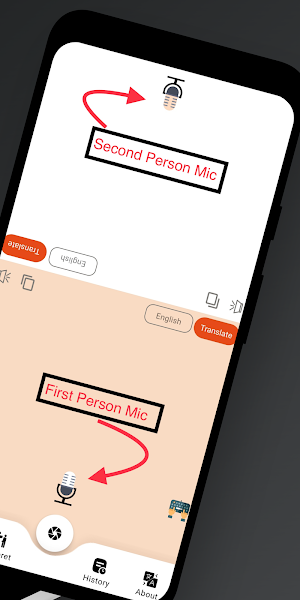 Offline Language Translator Screenshot 1