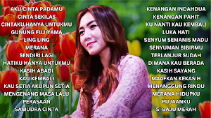 Pop Mandarin Versi Indonesia Screenshot 0