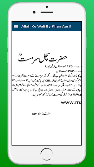 Allah Ke Wali اللہ کے ولی Screenshot 3