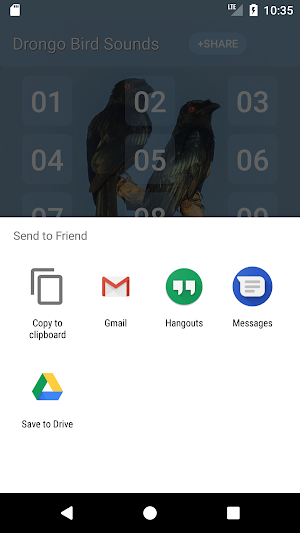 Drongo Bird Sounds Screenshot 3