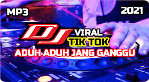 DJ Aduh Aduh Jang Ganggu Remix Offline Screenshot 0