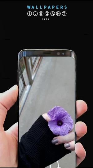 black wallpaper 8k 2024 Screenshot 3